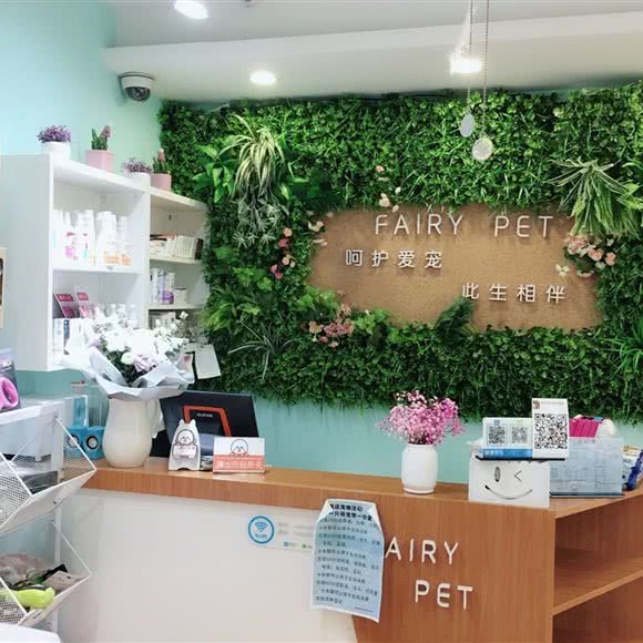 宠伴小精灵连锁宠物店(鼓楼店):南京市鼓楼区山西路/湖南路附近