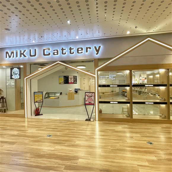 MIKU Cattery咪酷猫屋·猫咖(鼓楼金茂汇店):南京市鼓楼区山西路/湖南路附近