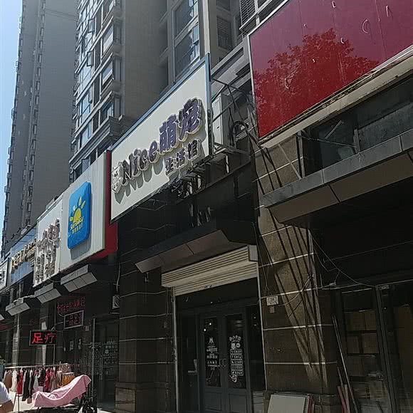 Nice萌宠生活馆(凤凰西街店):南京市鼓楼区凤凰西街附近