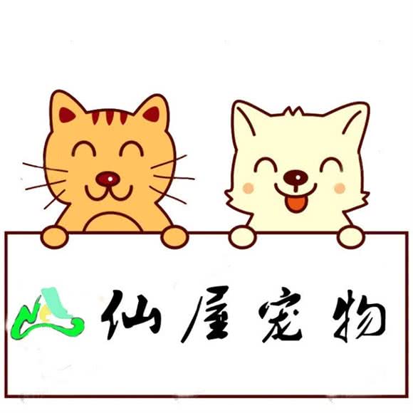 仙屋萌宠部落:南京市鼓楼区凤凰西街附近