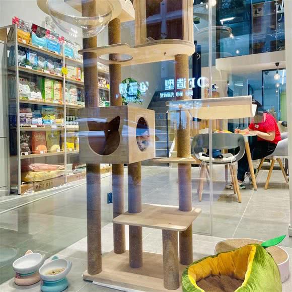 小佩宠物(峰云府店):南京市鼓楼区热河南路/三汊河附近