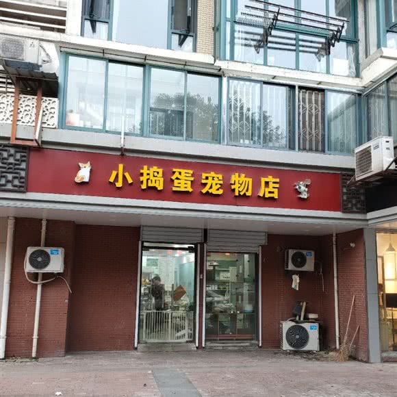 小捣蛋宠物店:南京市鼓楼区幕府西路附近