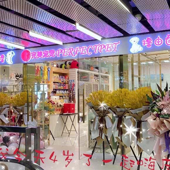 完美宠宠:北京城区朝阳区三里屯/工体附近