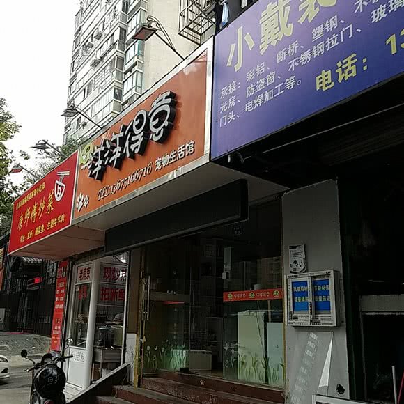 洋洋得意宠物生活馆:南京市鼓楼区建宁路附近