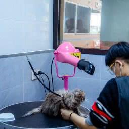 猫开的狗店(方家营店):南京市鼓楼区南京西站/阅江楼附近