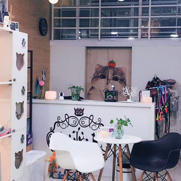 二饼萌宠(中海凤凰店):南京市鼓楼区环宇城附近