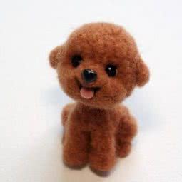 咪噜宠物(凤凰西街店):南京市鼓楼区环宇城附近