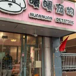 暖暖宠物狗:南京市鼓楼区金陵小区附近