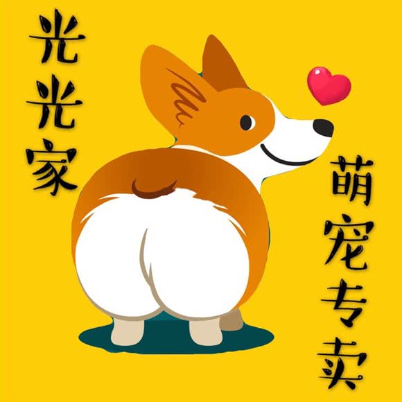 光光家宠物狗猫活体专卖店:南京市浦口区弘阳广场/印象汇附近