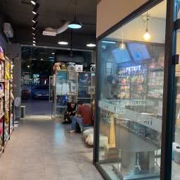 小佩宠物(天华南路店):南京市浦口区弘阳广场/印象汇附近