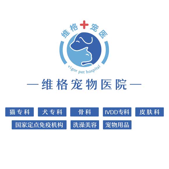维格宠物医院·犬猫专科·高压氧IVDD专科·免疫点:南京市浦口区弘阳广场/印象汇附近