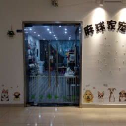 麻球家宠物:南京市浦口区江浦附近