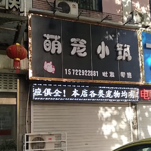 萌宠大筑:南京市浦口区江浦附近