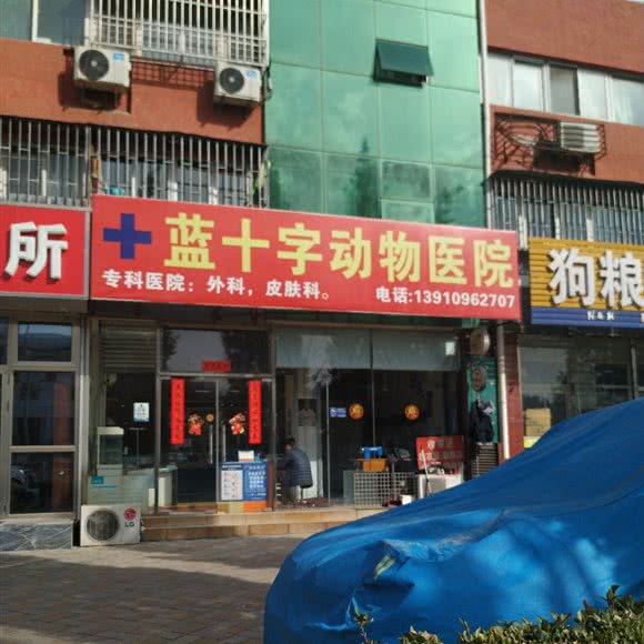 蓝十字动物医院:北京城区房山区良乡附近