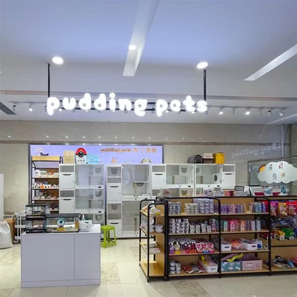 Pudding Pets布丁宠物狗:南京市浦口区江浦附近