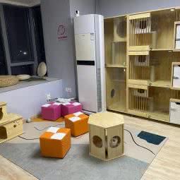 猫之阁·猫咖·寄养·下午茶:南京市浦口区江浦附近