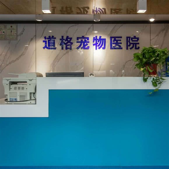 浦口区道格宠物医院:南京市浦口区江浦附近