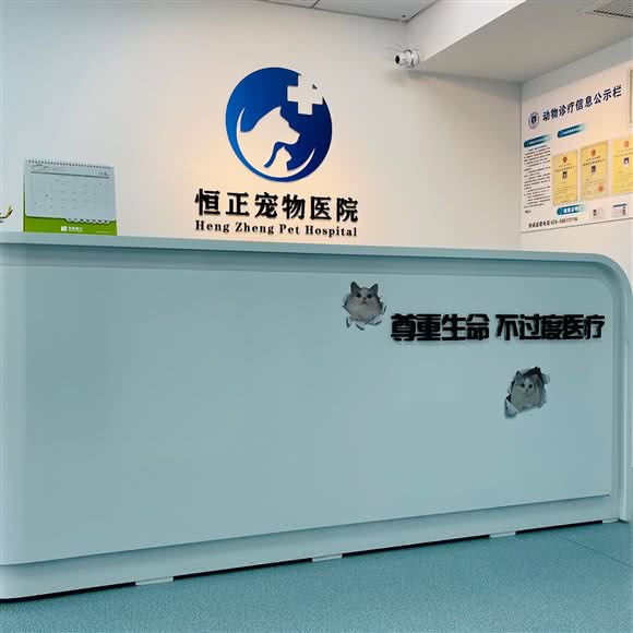 恒正宠物医院:南京市浦口区江浦附近