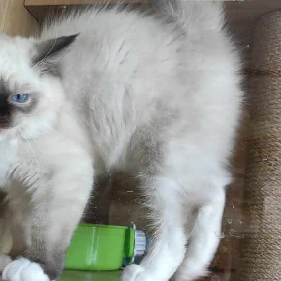 眠眠宠舍:南京市浦口区公园北路附近