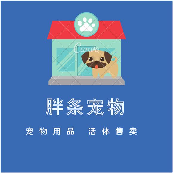 胖条优质猫狗活体专卖:南京市浦口区天润城/天悦城附近