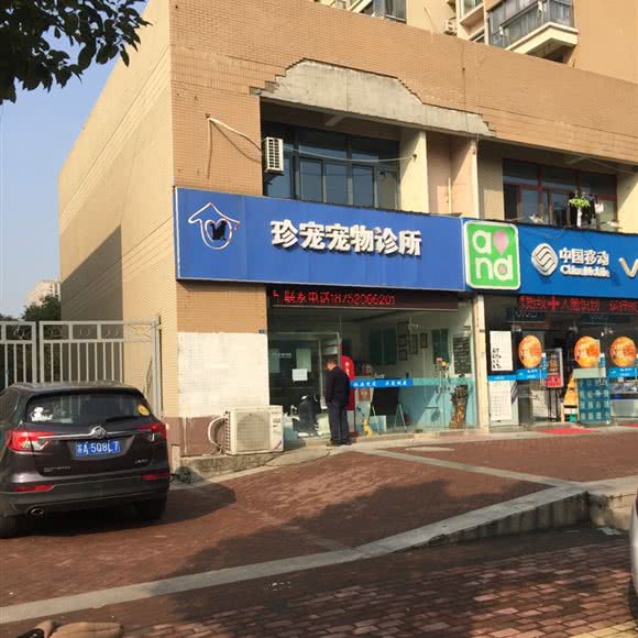 珍宠宠物诊所(百润路店):南京市浦口区天润城/天悦城附近