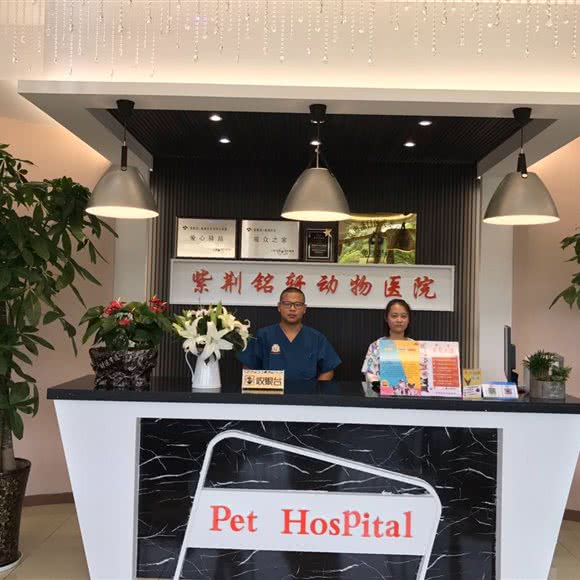 紫荆铭轩动物医院:南京市浦口区明发滨江附近