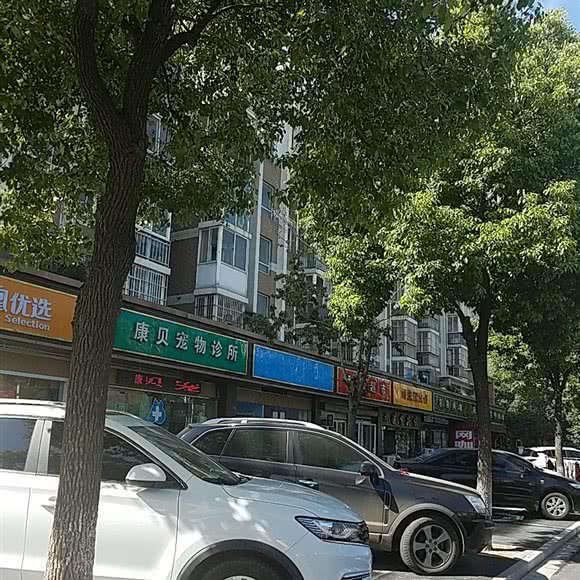 康贝宠物诊所:南京市浦口区明发滨江附近