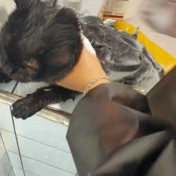 橙果班班面包店:南京市浦口区南大金陵学院附近