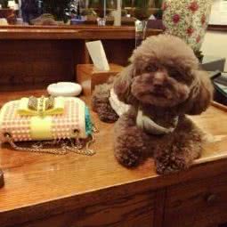 帝京缘动物医院:北京城区房山区良乡附近