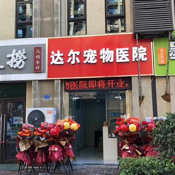 达尔宠物医院:南京市浦口区高新区附近