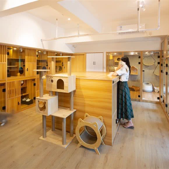 Z.pet知宠宠物:南京市栖霞区仙林大学城附近