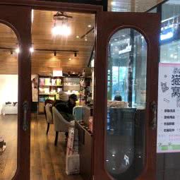 猫窝:南京市栖霞区仙林大学城附近