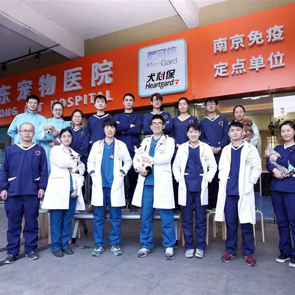 南京雅东宠物医院:南京市栖霞区仙林大学城附近