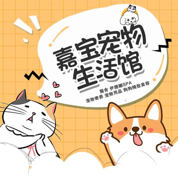 嘉宝宠物生活馆:南京市栖霞区马群街道附近
