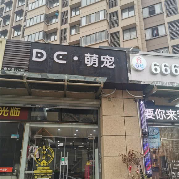 DC萌宠面包店:南京市栖霞区万寿商业街附近