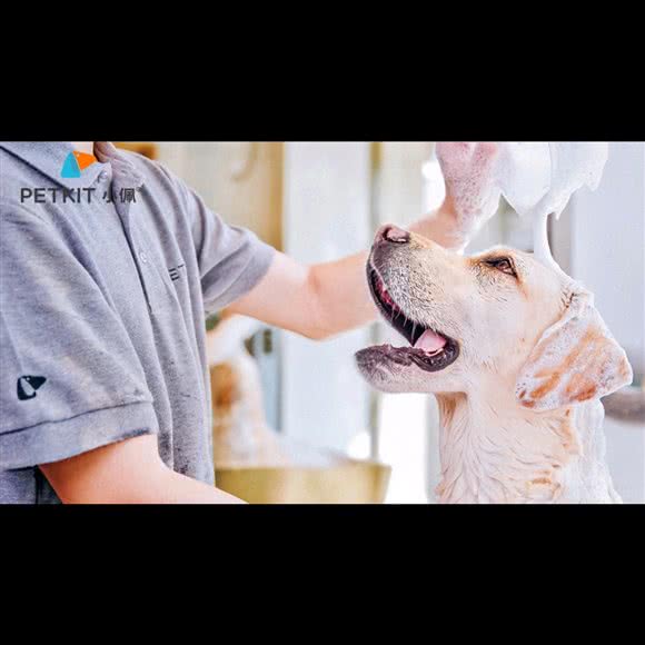 小佩宠物(金地店):南京市栖霞区摄山附近