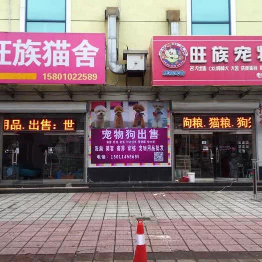 旺族宠物:北京城区房山区城关街道附近