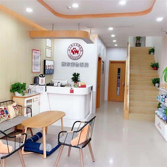 雅东宠物医院(万达茂店):南京市栖霞区摄山附近