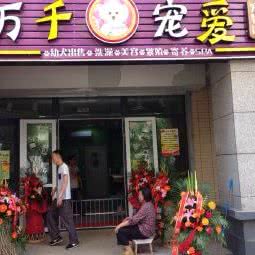 万千宠爱:南京市栖霞区丁家庄商业街区附近