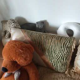 猫狗驿站宠物店(迈皋桥店):南京市栖霞区迈皋桥老街附近