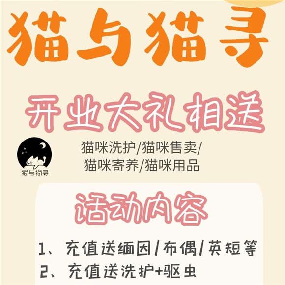 猫与猫寻名猫馆:南京市雨花台区虹悦城附近