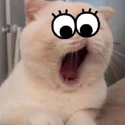 贝贝塔宠物生活馆:南京市雨花台区南京南站/明发附近