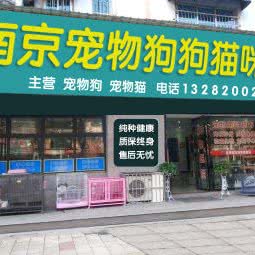 南京宠物狗狗猫咪店:南京市雨花台区南京南站/明发附近