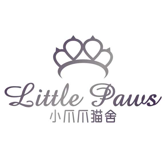 Little paws·小爪爪猫舍:南京市雨花台区安德门/小行附近