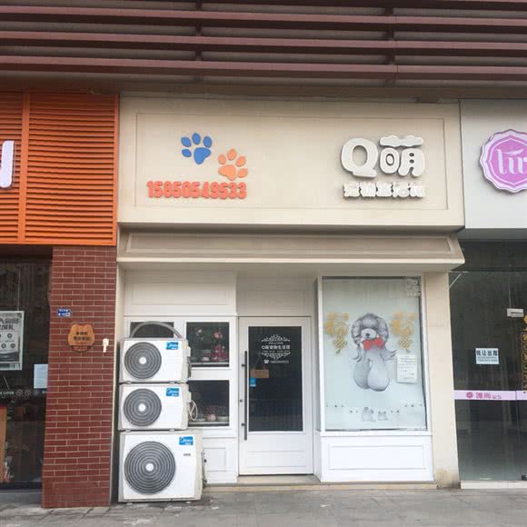 Q萌宠物生活馆:南京市雨花台区岱山新城附近