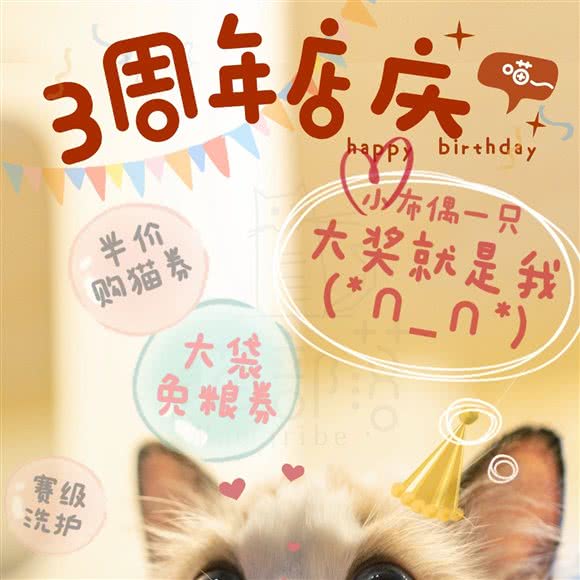 猫部落·Mao tribe(诚基大厦店):南京市江宁区百家湖附近