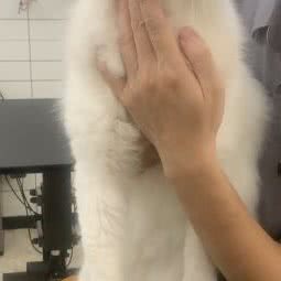 SekMo只猫:南京市江宁区岔路口附近