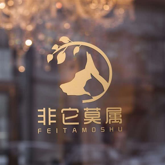 非它莫属宠物店:南京市江宁区胜太路沿线附近