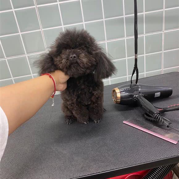 啵叽哥咖啡店:南京市江宁区东山镇附近