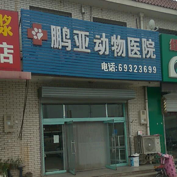 鹏亚动物医院:北京城区房山区城关街道附近
